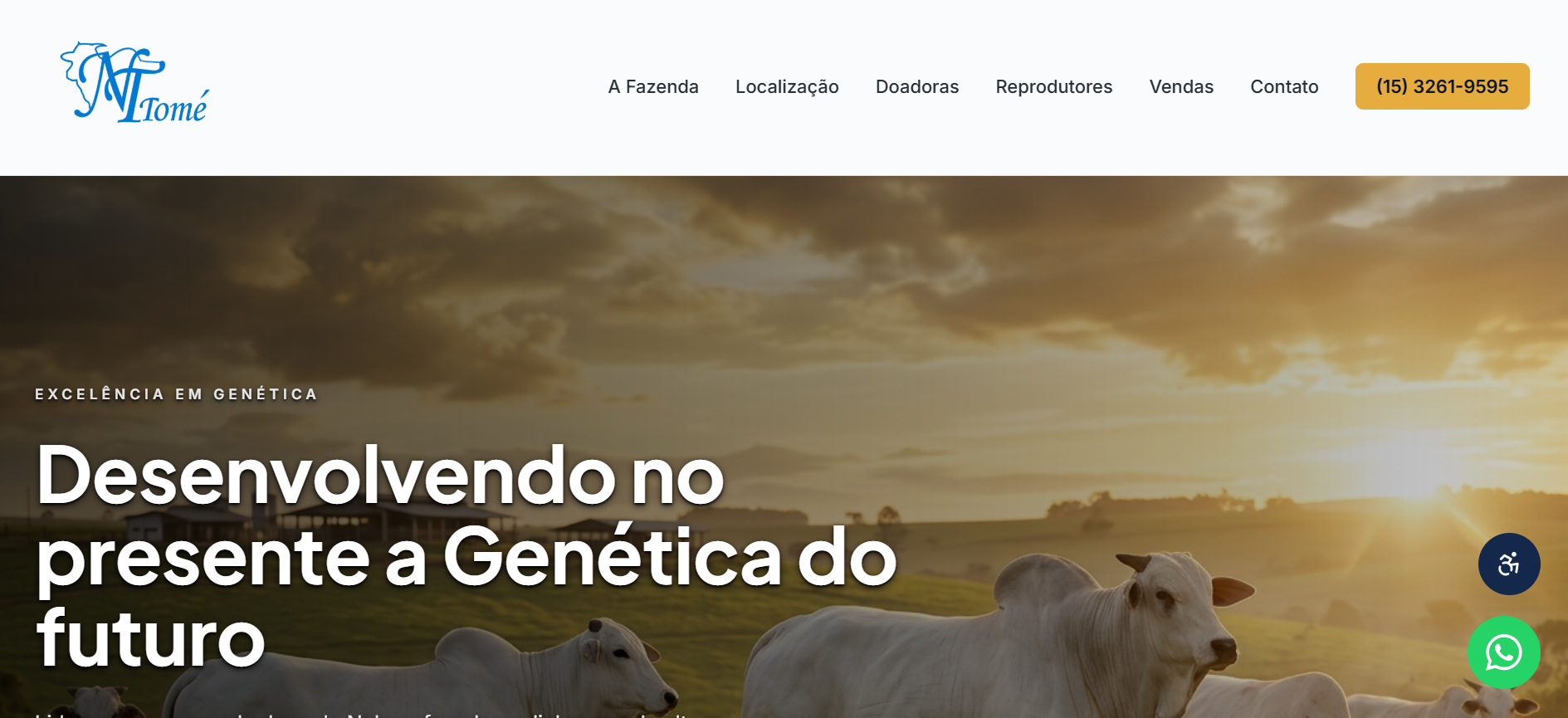 Site Nelore Tomé desenvolvido pela 2RS IA
