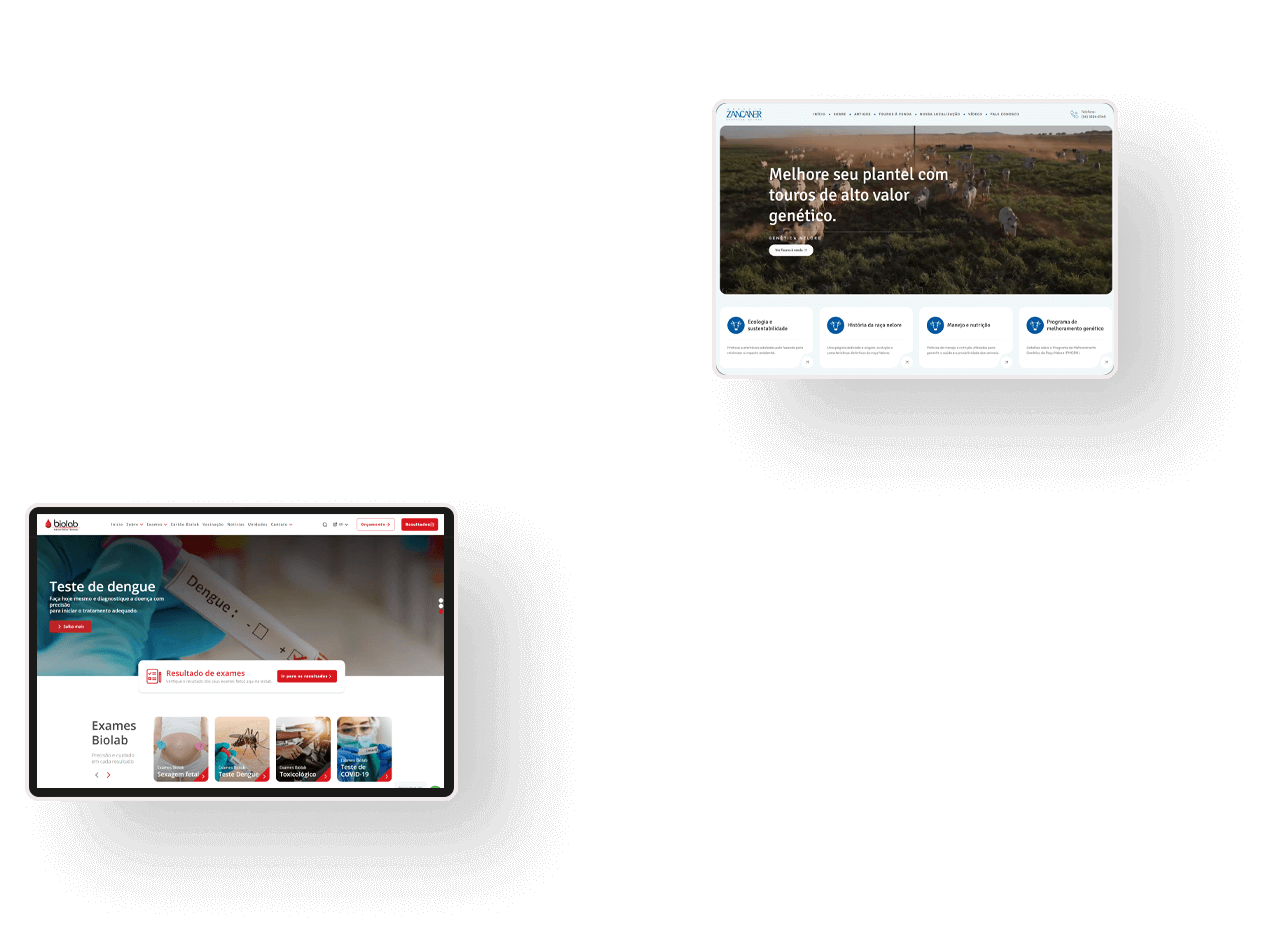 Criação e Desenvolvimento de Sites
